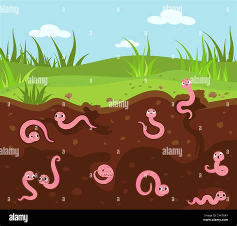 Earthworms In Soil Clipart