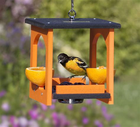 How To Make A Jelly Bird Feeder at Jackson Steinfeld blog