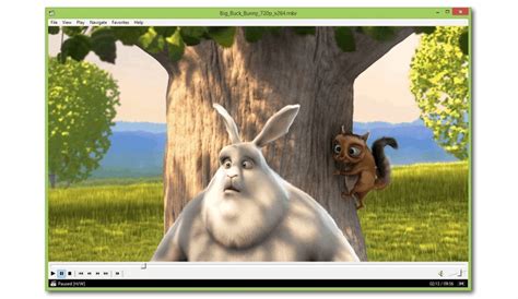 Image result for MP4 File Format Player