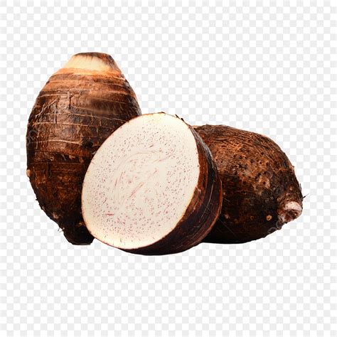 Taro PNG Picture, Taro, Healthy Vegetables, Big Taro, Fresh Taro PNG ...