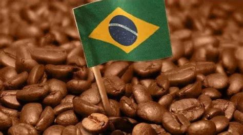 巴西 - 咖啡金融网