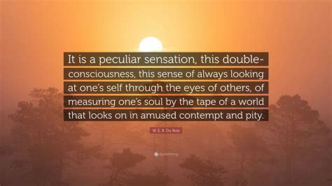 W. E. B. Du Bois Quote: “It is a peculiar sensation, this double ...