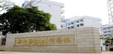 柳州学院,柳州职业技术学院,柳州城市职业学院(第8页)_大山谷图库