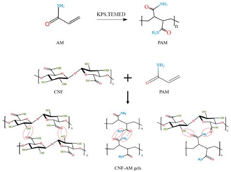Visual Colorimetric Detection of Edible Oil Freshness for Peroxides ...
