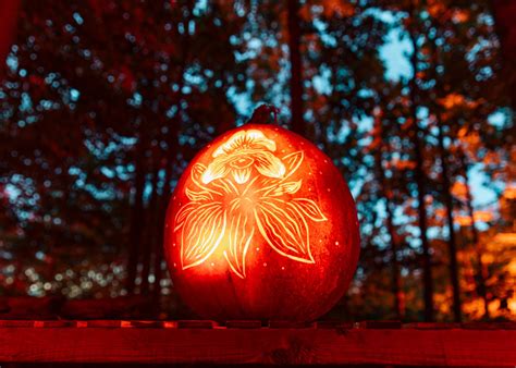 Grand Rapids Arch » Meijer Gardens | Frederik Meijer Gardens ...