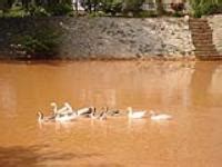 Vakil Satellite Township - Koramangala, Bangalore - Residential Plot ...