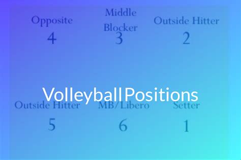 Comprehensive Guide to Volleyball Positions 2024 - Volleyball.com.ng
