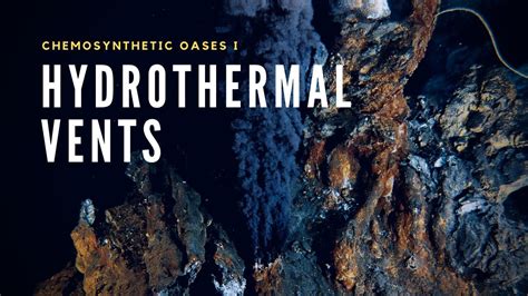 Image result for Chemosynthesis Examples