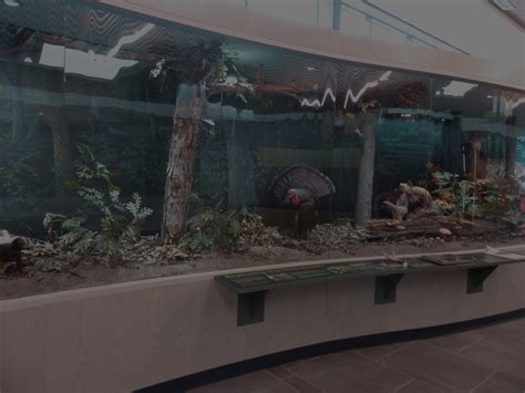 Nature Center 的图像结果