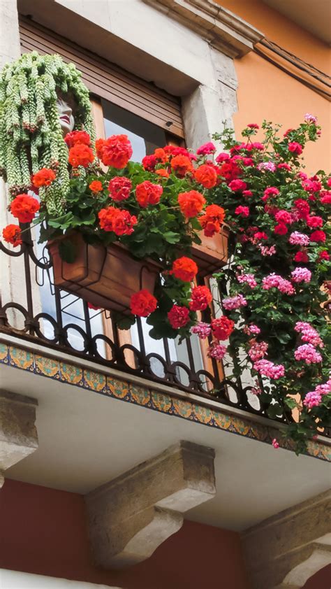 MSIL to revamp chit fund biz through app, eyes Rs 10K-cr mkt ...