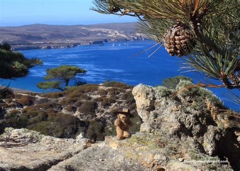 Channel Islands National Park (Santa Rosa)! - The Bill Beaver Project