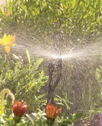 Irrigation Helps & Tutorials - What is a Drip Irrigation System