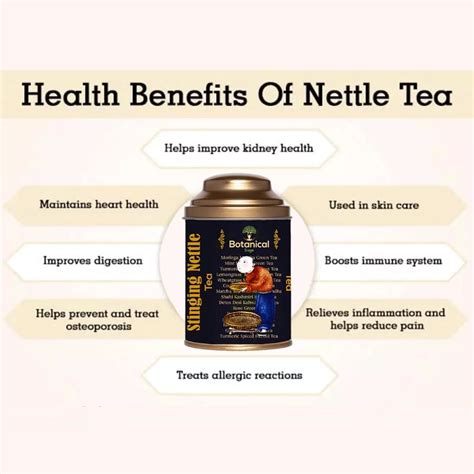 Stinging Nettle Leaf Tea | Nettle Tea | Selected | Luxury tea ...