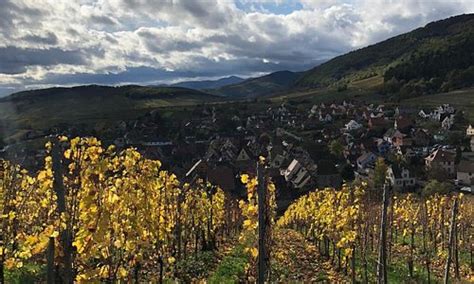Pfaffenheim Tourism (2021): Best of Pfaffenheim, France - Tripadvisor