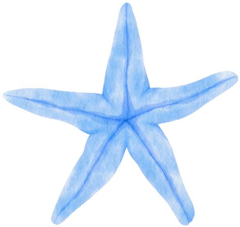 ilustração de aquarela estrela do mar ou estrelas do mar 9694548 PNG