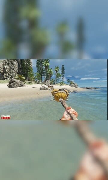 Image result for Stranded Deep PC