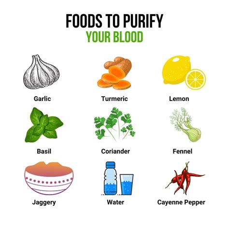 Foods to Purify Your Blood
