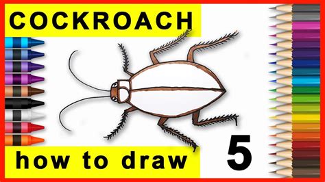 Image result for How to Draw a Cockroach Step by Step