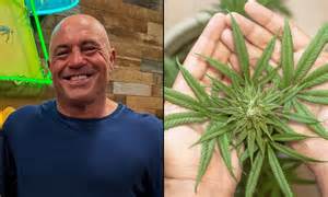 Joe Rogan Slams 'Really Bad' Federal Hemp Ban Trump Signed, Blaming ...