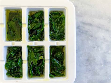 How To Freeze Fresh Basil In Olive Oil at Trevor Roy blog