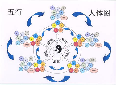 【周易64卦】五行制化的五种状态11