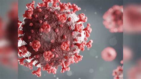 Coronavirus: The Omicron symptom that is the most common in fully ...