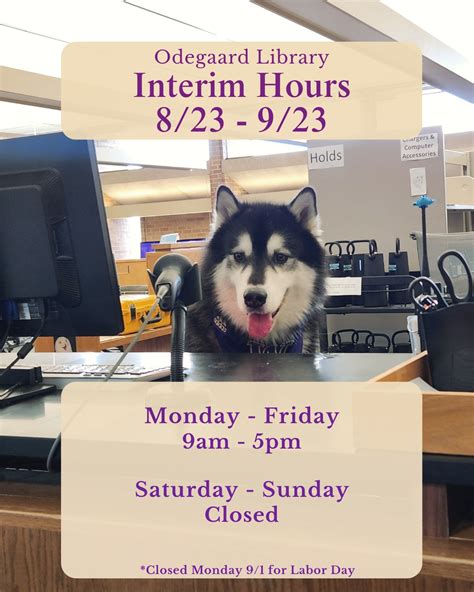 Odegaard Library (@odegaardlibrary) • Instagram photos and videos