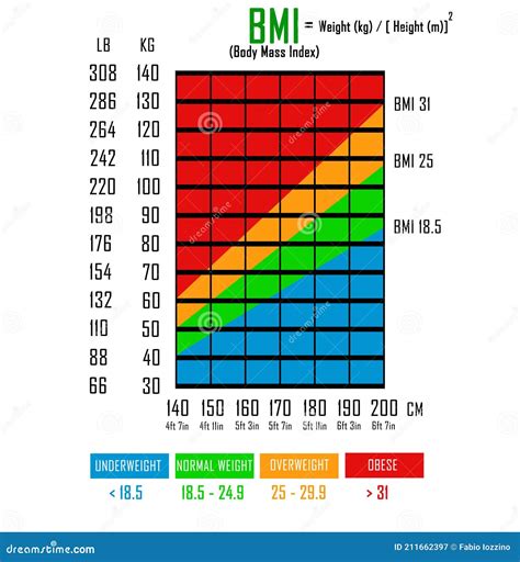 Body Mass Index BMI Chart stock illustration. Illustration of business - 211662397