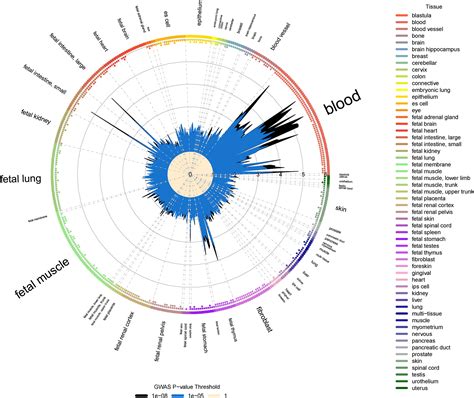 Genetic association and Mendelian randomization for hypothyroidism highlight immune molecular ...