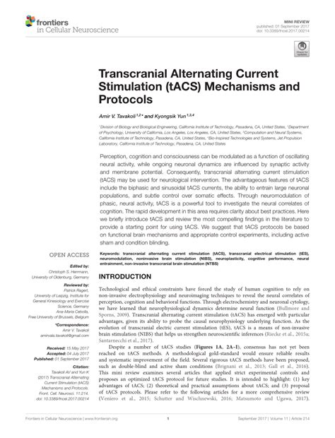 Transcranial Alternating Current Stimulation 的图像结果
