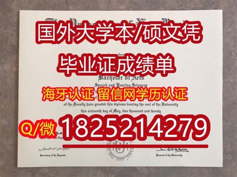 学信网学籍、学历认证&成绩验证指南 - 知乎