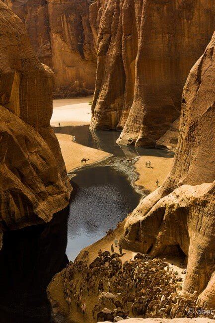 La Guelta d'Archei, une oasis surprenante au Tchad