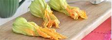 come cuocere i fiori di zucca come cucinare i fiori di zucca misya info come cuocere i fiori di zucca come cucinare i fiori di zucca misya info