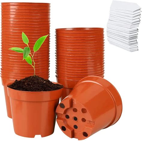 50 Pack Small Round Mini Plant Nursery Pots - 5.4cm Mini Plastic Flower ...