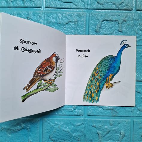 My First Book of Birds - English-Tamil - Level 1 - Pratham – We Are Turners