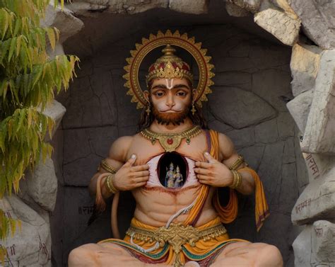 15 Sacred Trees Around the World You Should Know About