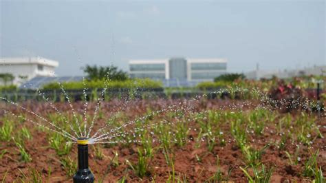 The Danfoss India campus reduces water intensity by two-thirds