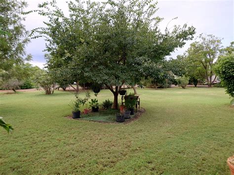 WARREGO RIVERSIDE TOURIST PARK (Cunnamulla) - Campground Reviews ...