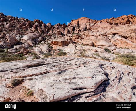 Sunny view of the landscape in Calico Basin Trail at Nevada Stock Photo ...
