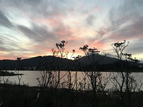 RV park review: Marin RV Park