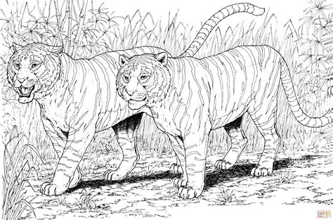 Two Tigers coloring page | Free Printable Coloring Pages
