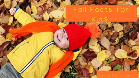 What Happens in Fall? New Fall Facts for Kids 2025 - Kids Play and Create