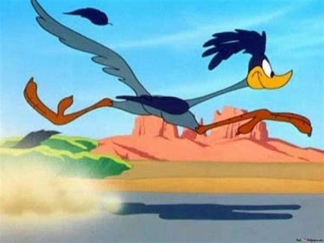 Road Runner Running Fast 的图像结果