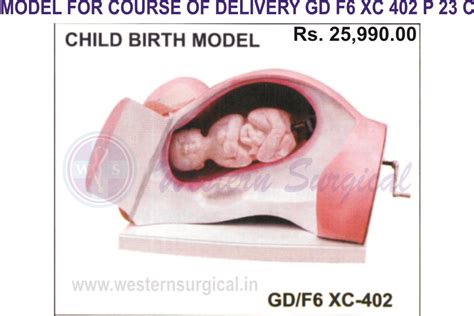 Western Surgical