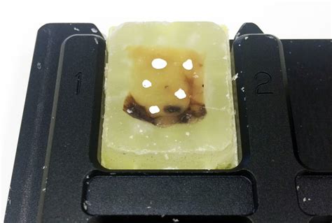 Tissue Microarray Mold 的图像结果