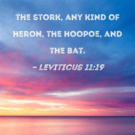 Leviticus 11:19 the stork, any kind of heron, the hoopoe, and the bat.