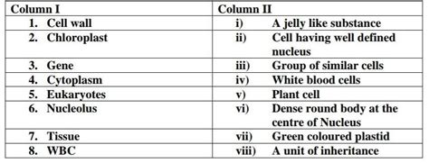 pls pls help me by doing this matching - Brainly.in