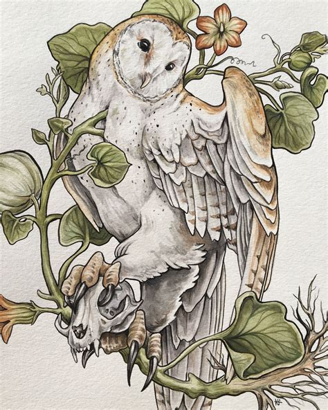 Drawing A Barn Owl - Drawing Improvement Challenges