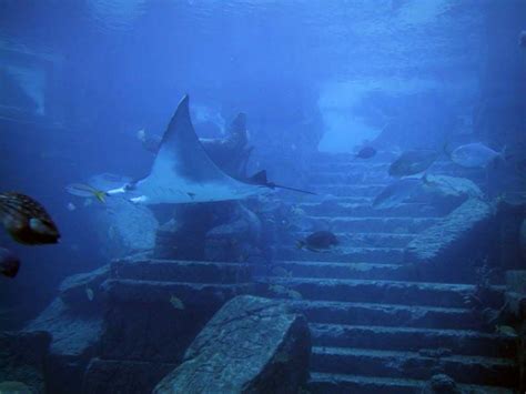 Bbc'S Discovery: The Crystal Pyramid In The Bermuda Triangle