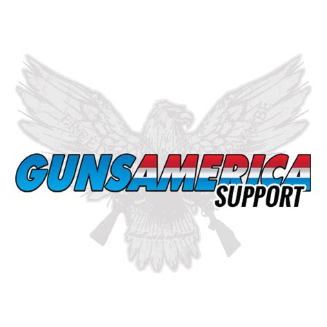 Image result for Springfield Hellcat Modifications